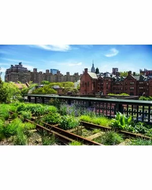 Fotokunst schilderij New York groen 