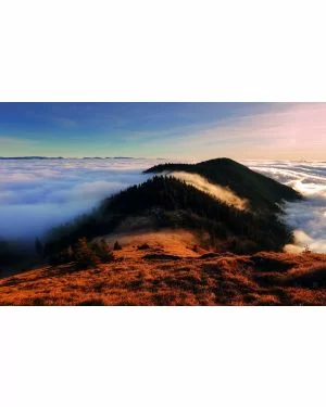 Fotokunst schilderij cloudy forest