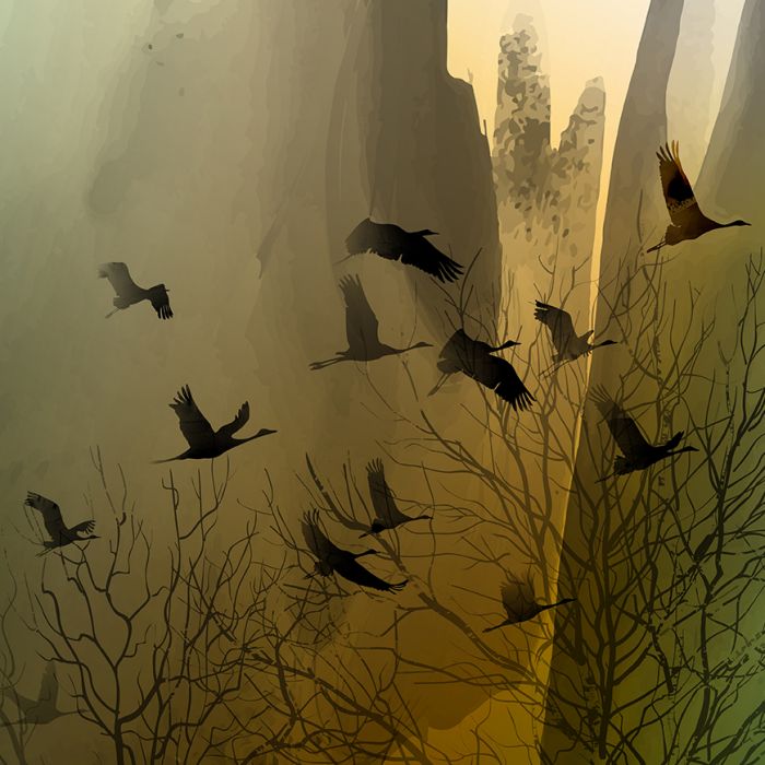 Dieren Schilderijen : Fotokunst schilderij twaalf kraanvogels