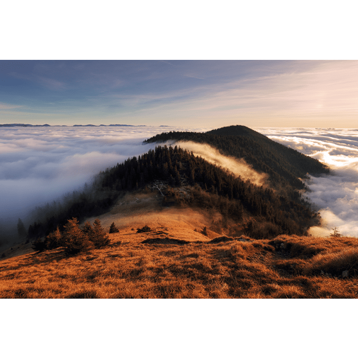 Glas schilderijen: Beton schilderij cloudy forest