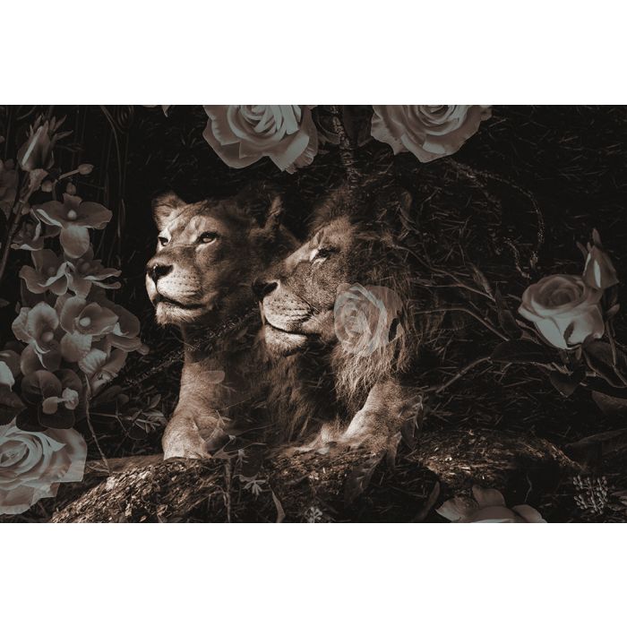 Bloemen Schilderijen: Fotokunst schilderij bloemen en leeuwen