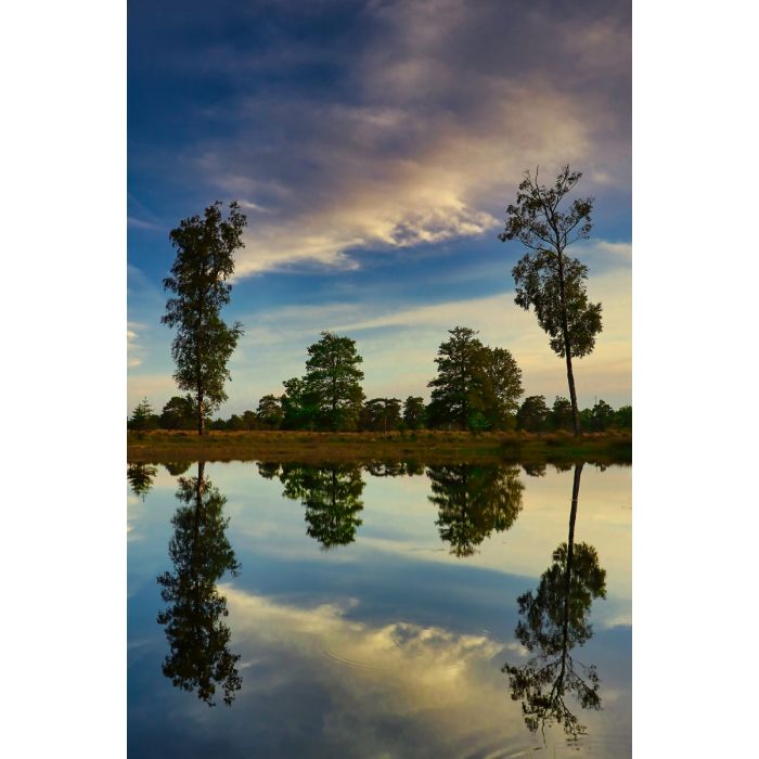 Glas schilderijen: Fotokunst schilderij lake trees
