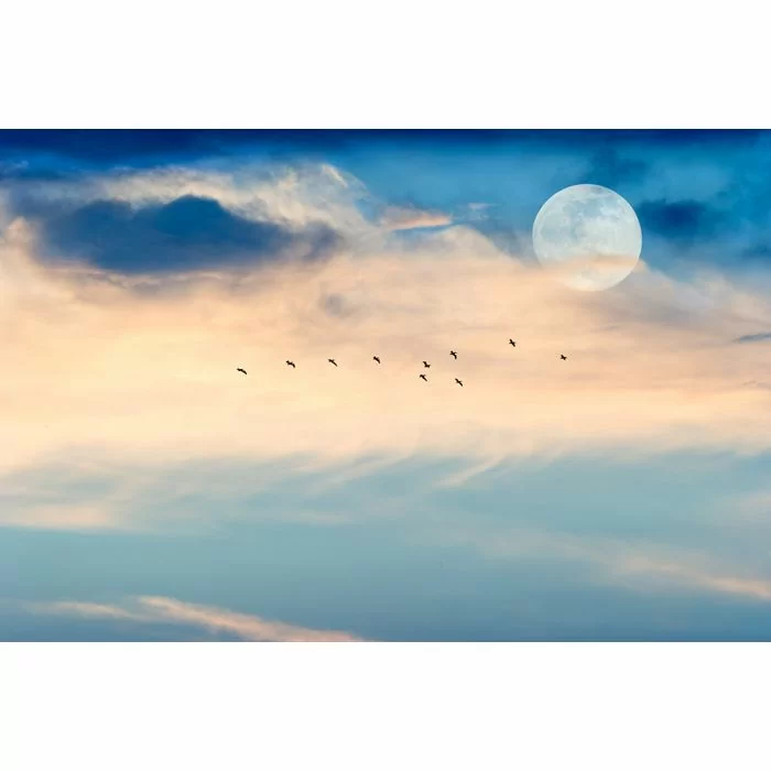 Glas schilderijen: Fotokunst schilderij moon birds