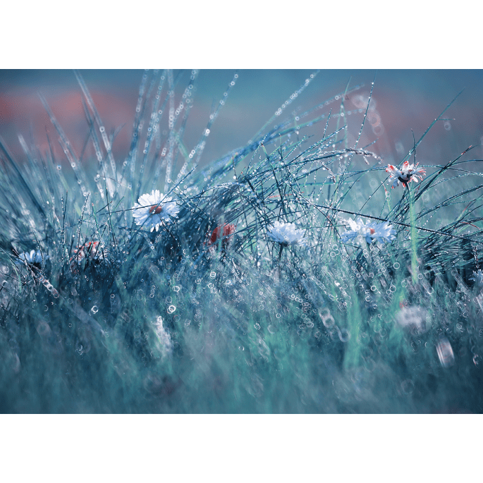Tuin doek lente