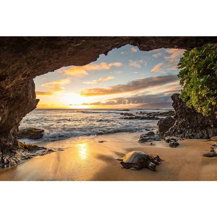 Foto Kunst Schilderijen: Beton schilderij turtle beach