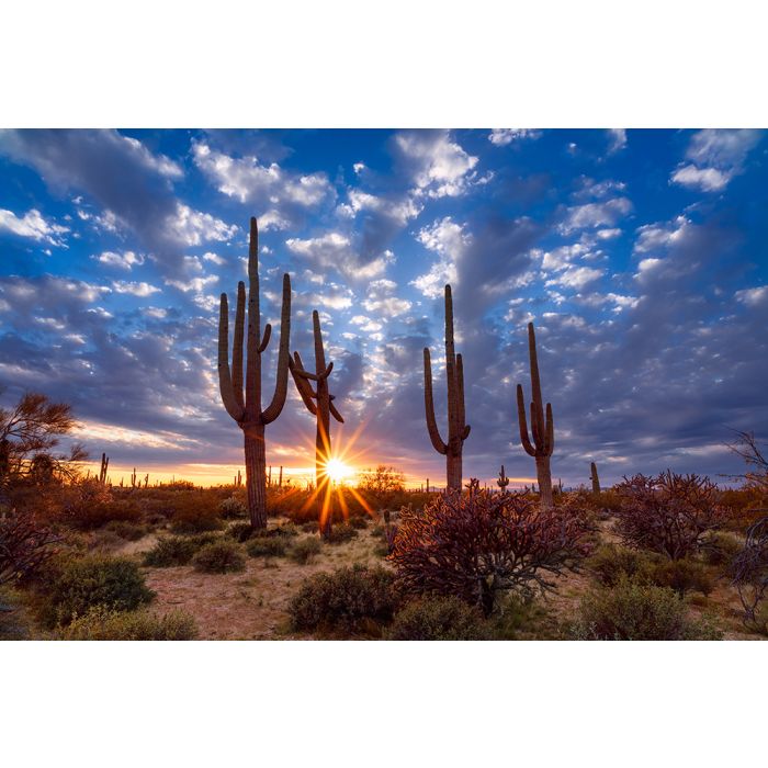 Glas schilderijen: Beton schilderij Arizona desert
