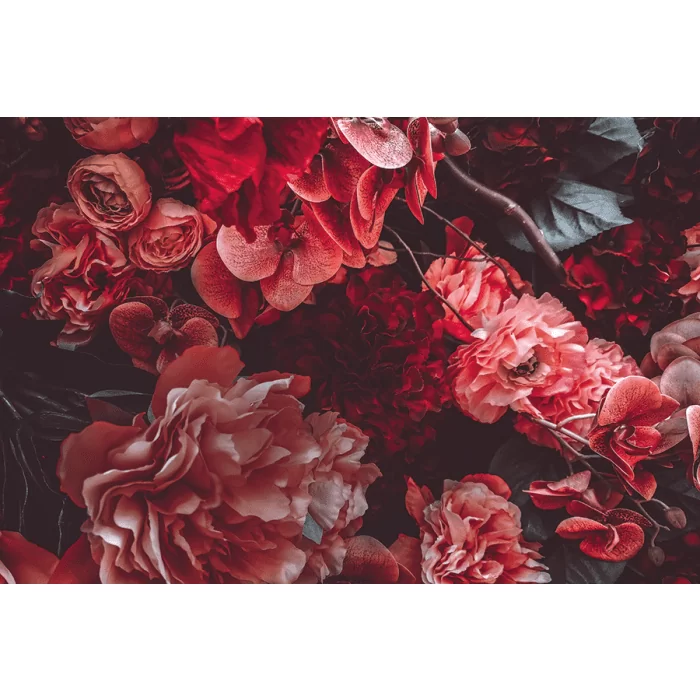 Bloemen Schilderijen: Fotokunst schilderij magenta bloemen
