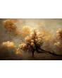 Bloemen Schilderijen: Fotokunst schilderij beige bloesem