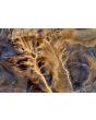 Abstracte Schilderijen: Foto kunst schilderij aerial view Africa