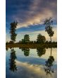 Glas schilderijen: Fotokunst schilderij lake trees