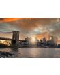 Glas schilderijen: Beton schilderij Bridge New York