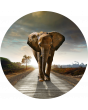 Foto Kunst Schilderijen: Rond beton schilderij horizon olifant