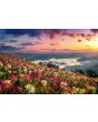 Bloemen Schilderijen: Fotokunst schilderij flower field sunrise