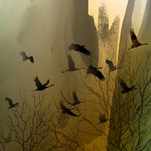 Fotokunst schilderij twaalf kraanvogels