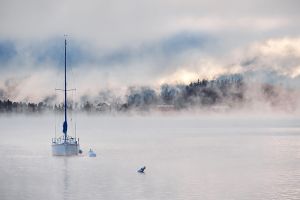 Fotokunst schilderij mistige wateren