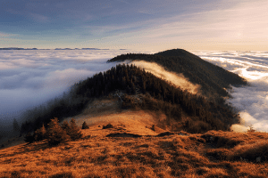 Fotokunst schilderij cloudy forest