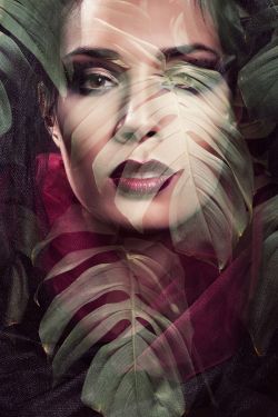 Fotokunst schilderij monstera Lady 
