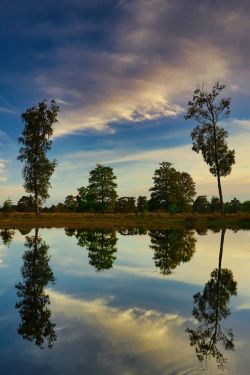 Fotokunst schilderij lake trees