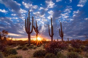 Fotokunst schilderij Arizona desert