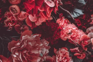 Fotokunst schilderij magenta bloemen